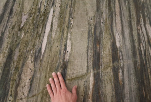 TEXTA TROPICAL FASHION - 012923