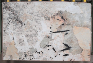 TEXTA PATAGONIA - 000313