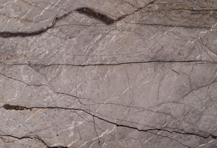 MARMORE SILVER ROOTS