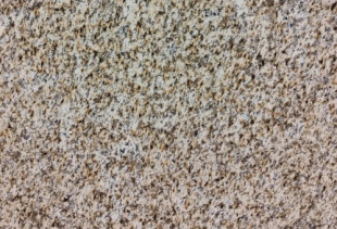 GRANITO AMARELO MACIEIRA