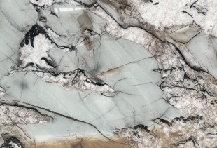 QUARTZITE BOTANIC CRYSTAL