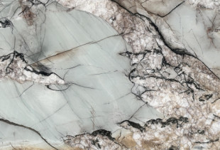 QUARTZITE BOTANIC CRYSTAL